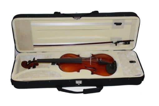 Violin case Professional 4/4