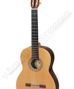 Hora SM 20 Classic Regun Guitar short delivery, best price