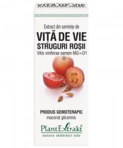PlantExtract Vine seed extract 125ml.